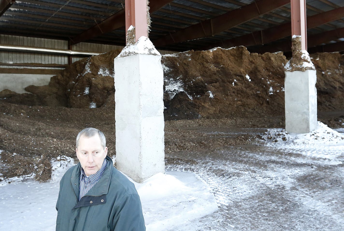 Problem area: Patrick Busch, CEO of Len Busch Roses, walked by a storage area of wood chips used for heating the greenhouses where plants such as strumaria, left, are grown. Neighbors in Plymouth are objecting to the smell.