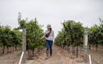 Winemaker Vanessa Robledo walks through her vineyard in "Harvest Season."
