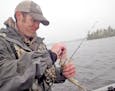 Jeremy Maslowski of Tower, Minn., unhooks a walleye caught on Lake Vermilion while trolling crankbaits with lead core fishing line. The method landed 