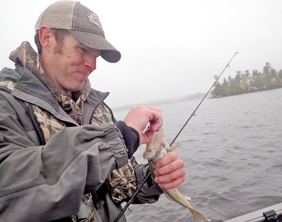 For luring walleyes, try lead core fishing lines