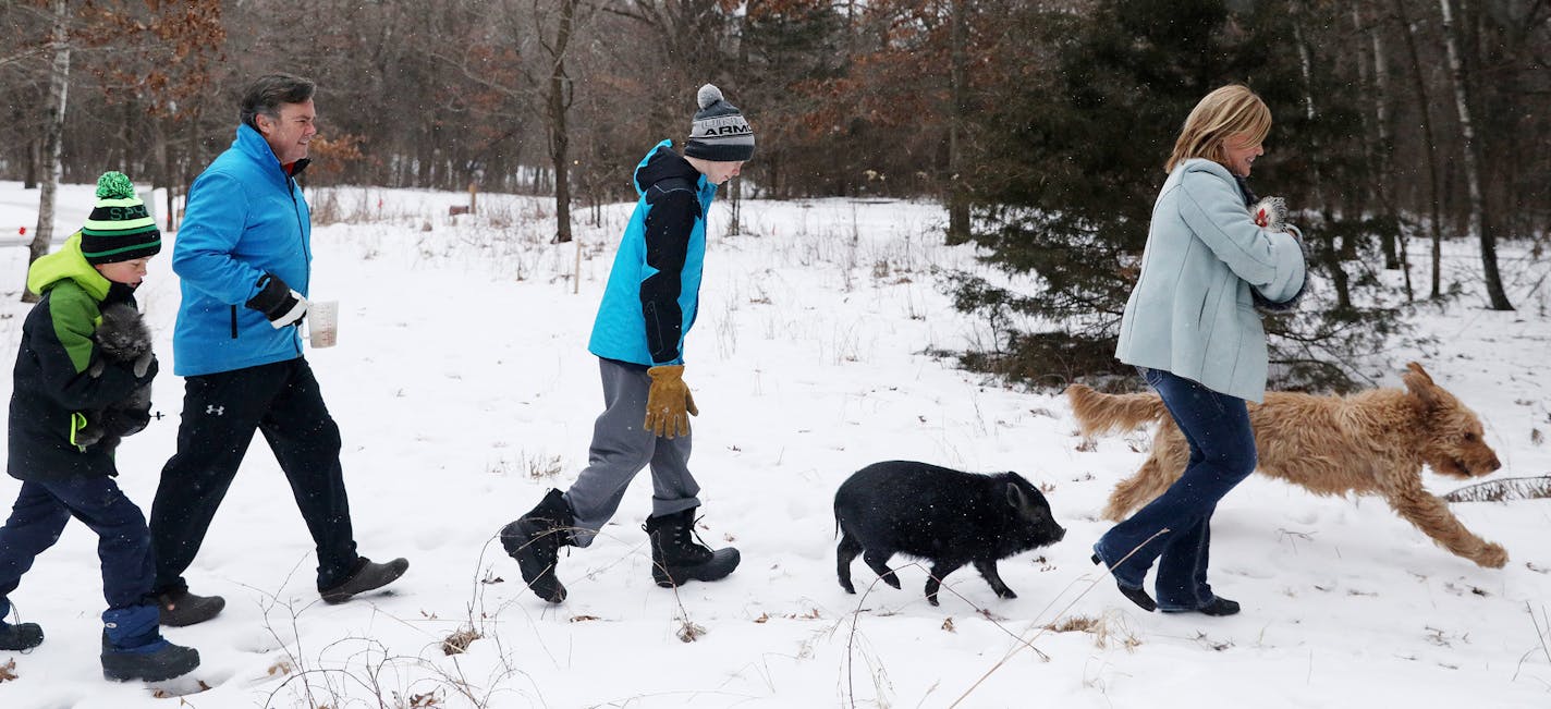 From left, the Harer family, including Blake, Tom, Zachary, Peter the potbellied pig, Edie and Teddy the three-legged goldendoodle walked their property in Ramsey.