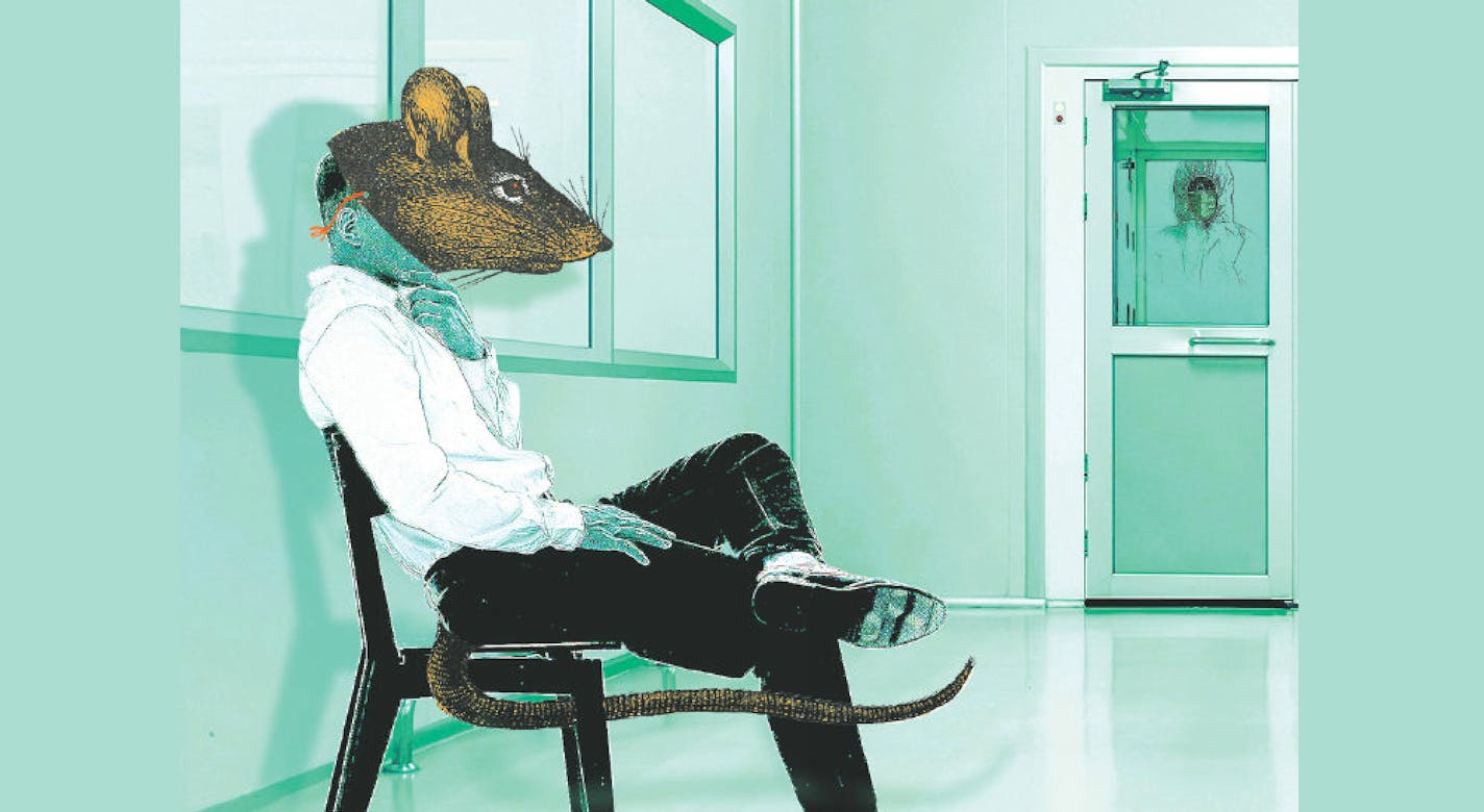A man wearing a rat mask sits in a green waiting room