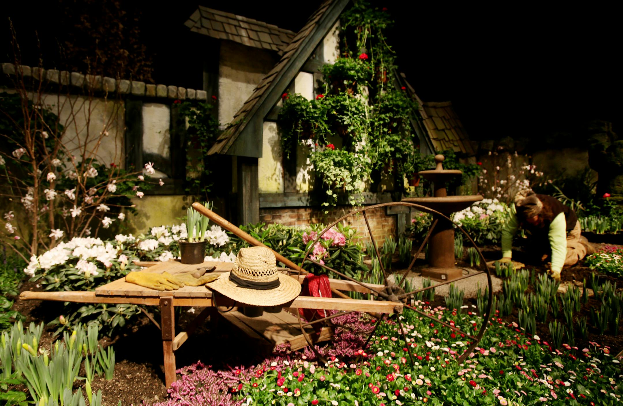 Steve Gluek of Bachman's works on some plantings at the Macy's Flower Show on the 8th floor. ] JOELKOYAMA&#x201a;&#xc4;&#xa2;jkoyama@startribune Minneapolis, MN on March 20, 2014.