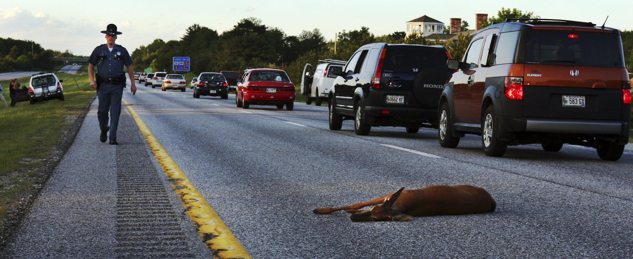 *** file *** A wounded deer lies in the road after being hit by a car on the northbound lane of I-295 near Freeport, Maine, in this Wednesday, June 11, 2008 file photo. Fatalities from vehicle crashes with deer and other animals have more than doubled over the last 15 years, according to a new study by an auto insurance-funded highway safety group that cites urban sprawl overlapping into deer habitat. (AP Photo/Pat Wellenbach, file) ORG XMIT: NY110