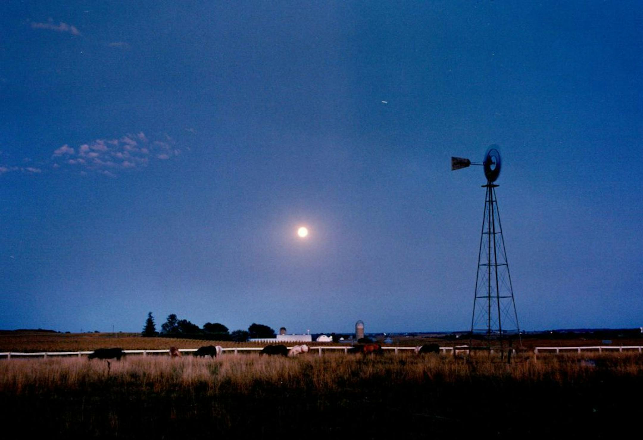 Night in the country is truly dark as it is not in the city, where ambient light pushes back against the night.