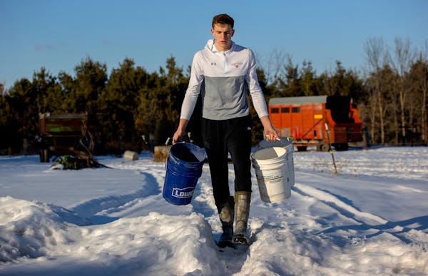 Will Tschetter walked with empty buckets after to feeding livestock at the family farm.
