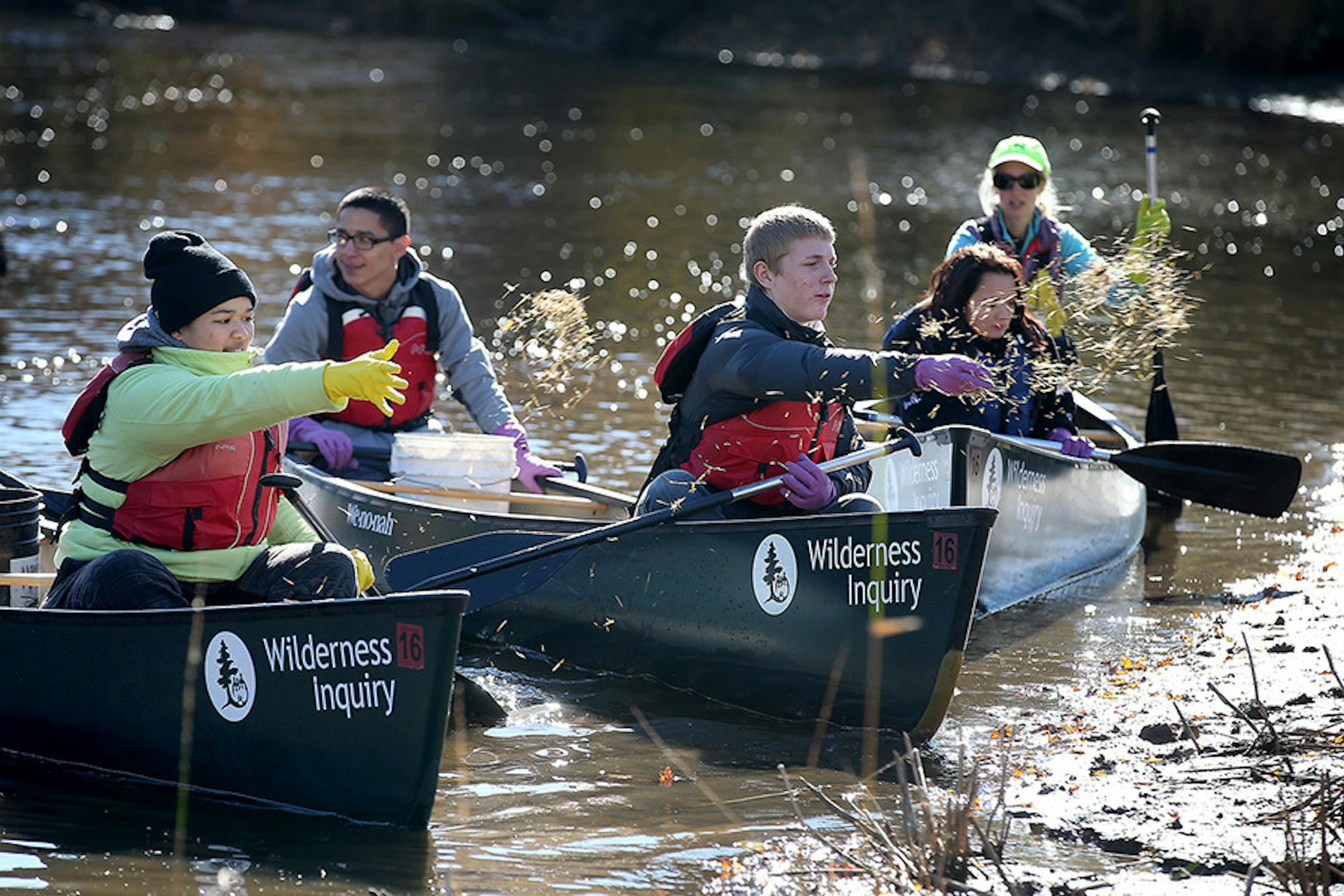 Takoda Prep students Hallie Woodard, left, and Max Fauble, center, and others threw wild rice seeds along the Rum River, Tuesday, October 13, 2015 near Cambridge, MN.