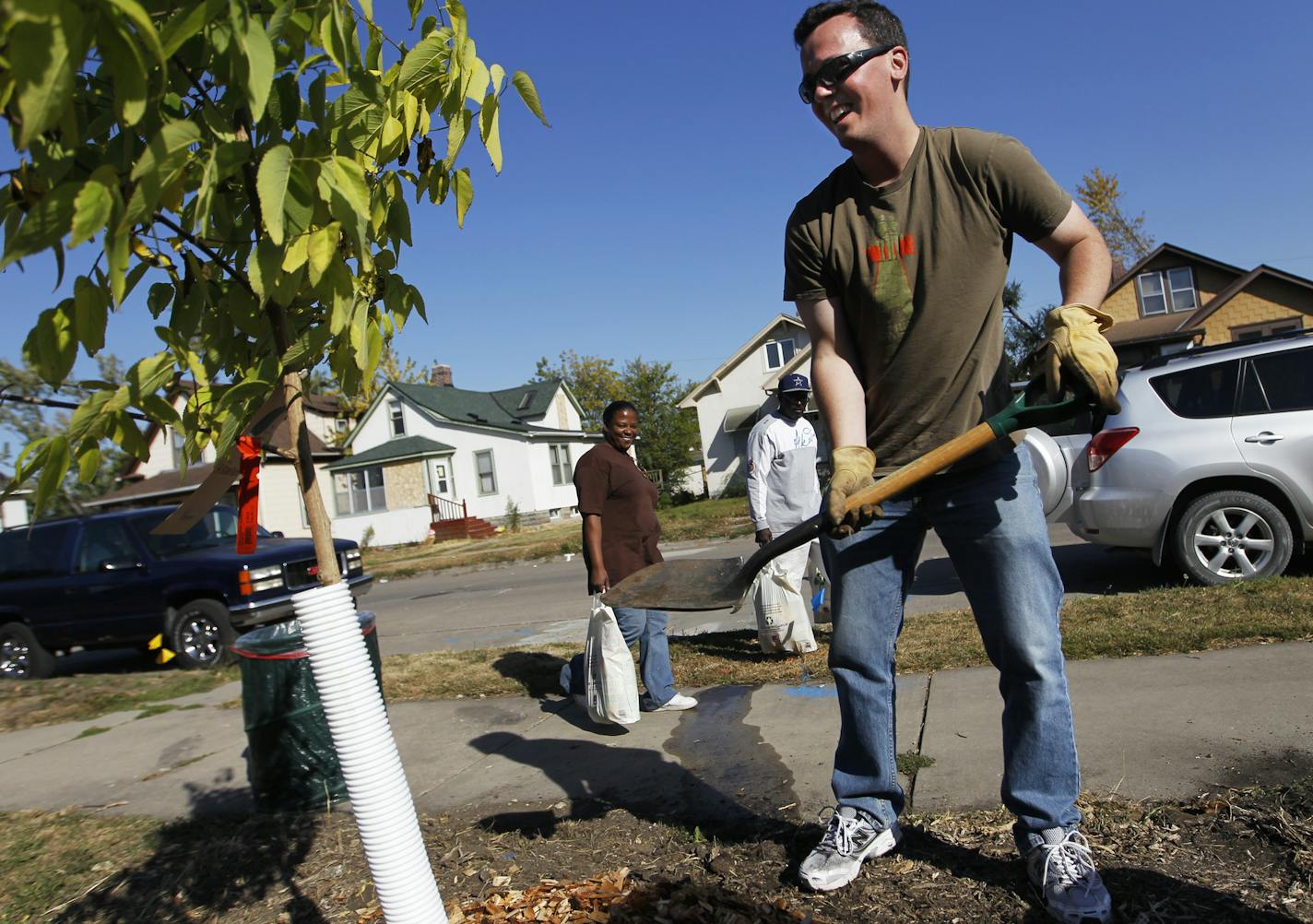 Minneapolis will be selling $25 trees provided by nonprofit Tree Trust to improve air and water quality and property values. Richard Tsong-Taatarii/rltsong-taatarii@startribune.com