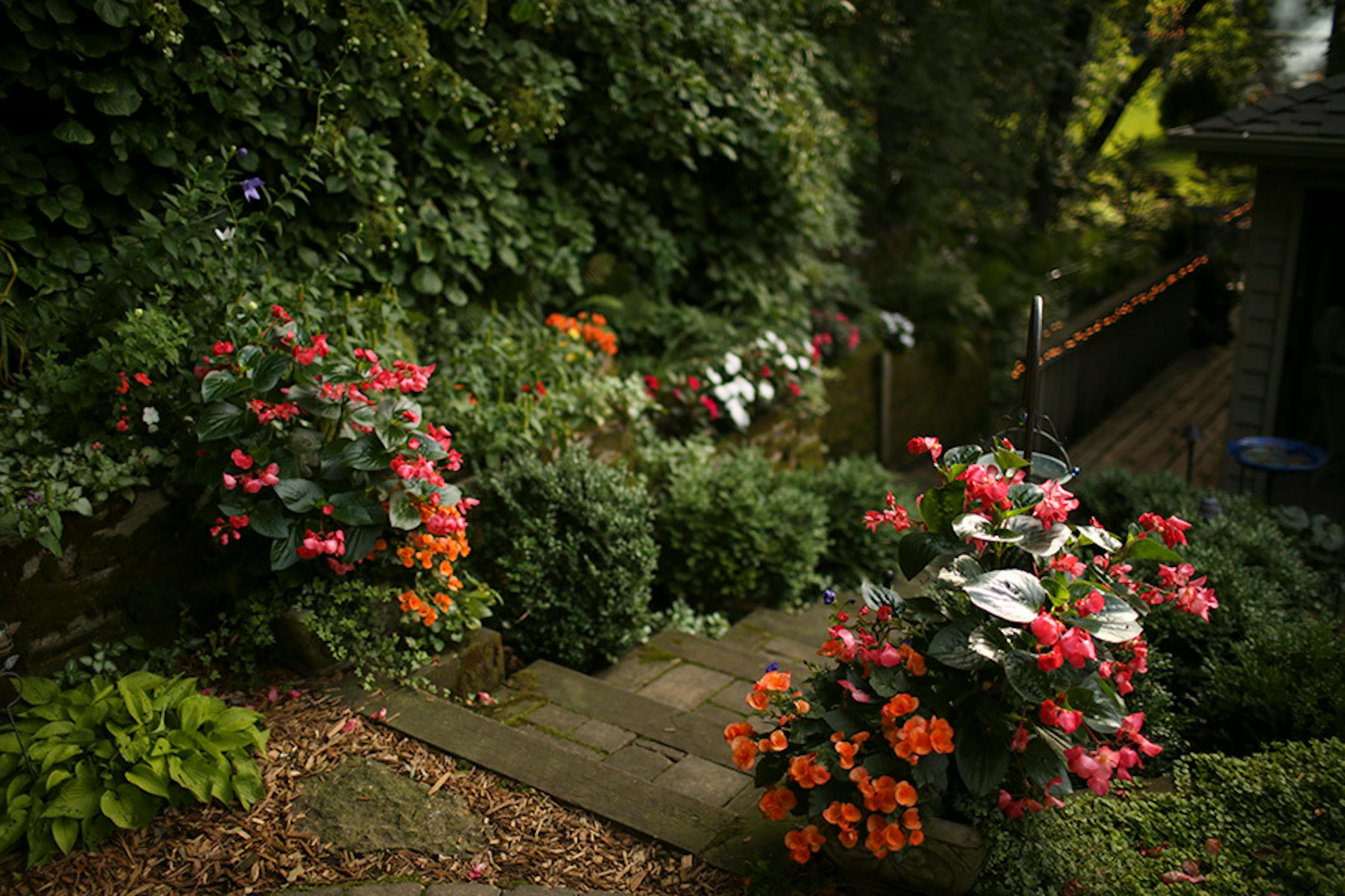 Steps lined with plantings.
