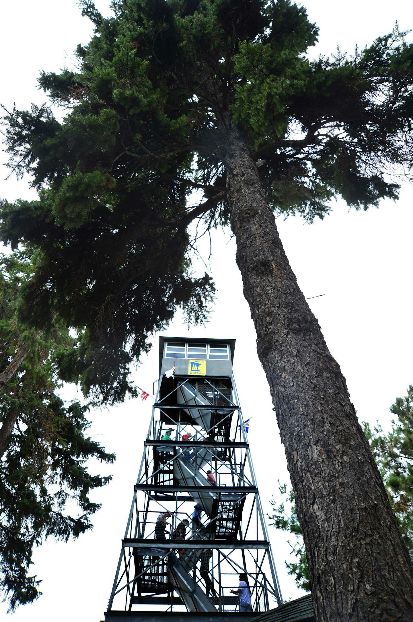 Reaching 65 feet high, and providing excellent views of the fairgrounds, the DNR State Fair fire tower is the best known in the state. Only a dozen or so fire towers remain in Minnesota.