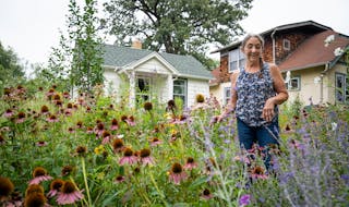 Jean Clough tended to her front yard garden, which she calls “The Meadow,” in Minneapolis in August.