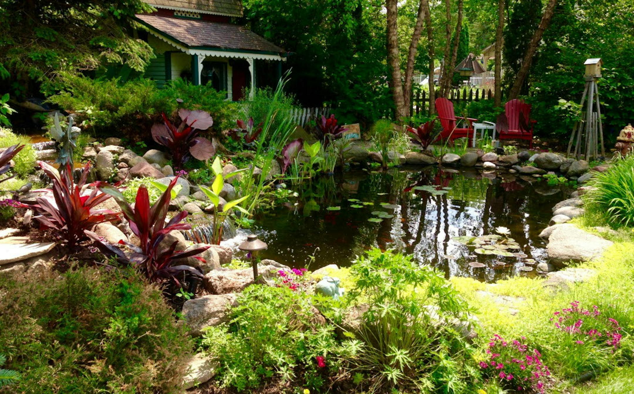 A view of the landscaped koi pond.