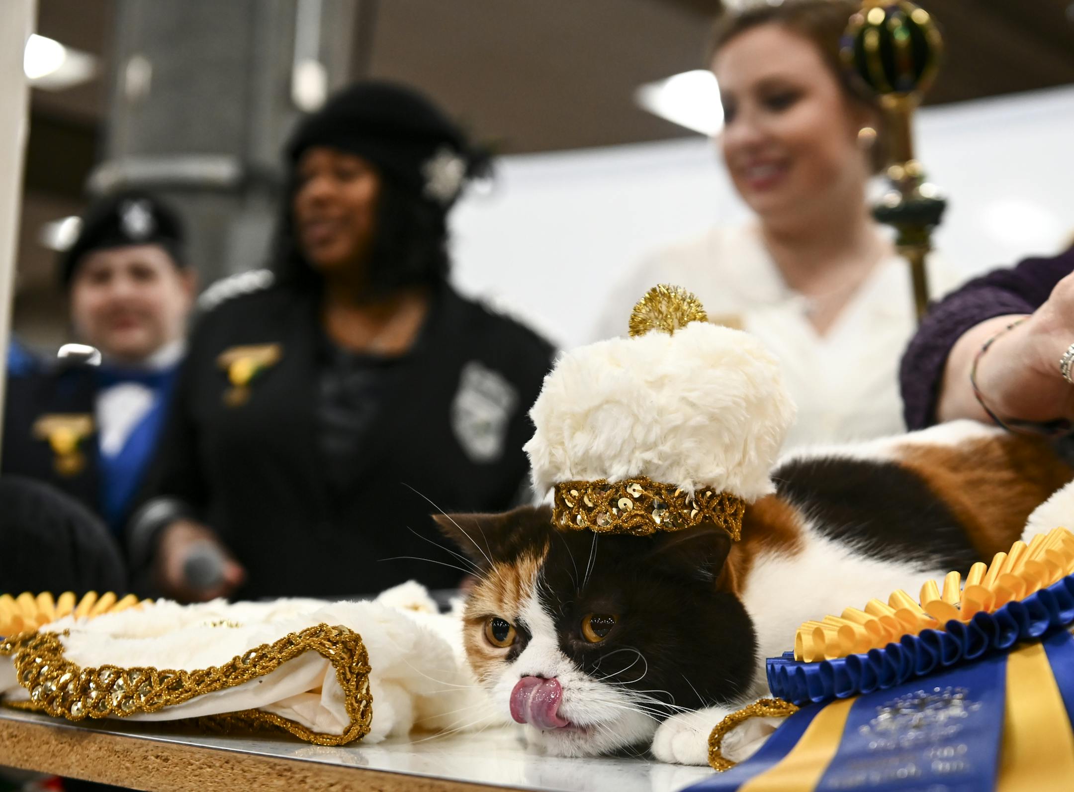 Rosa, who like Commander Wolffe belongs to Karen and Matt Overholser of Pine City, was named queen. They say Commander Wolffe is "really kind of a ham." Matt Overholser has wanted to win since he was 12.