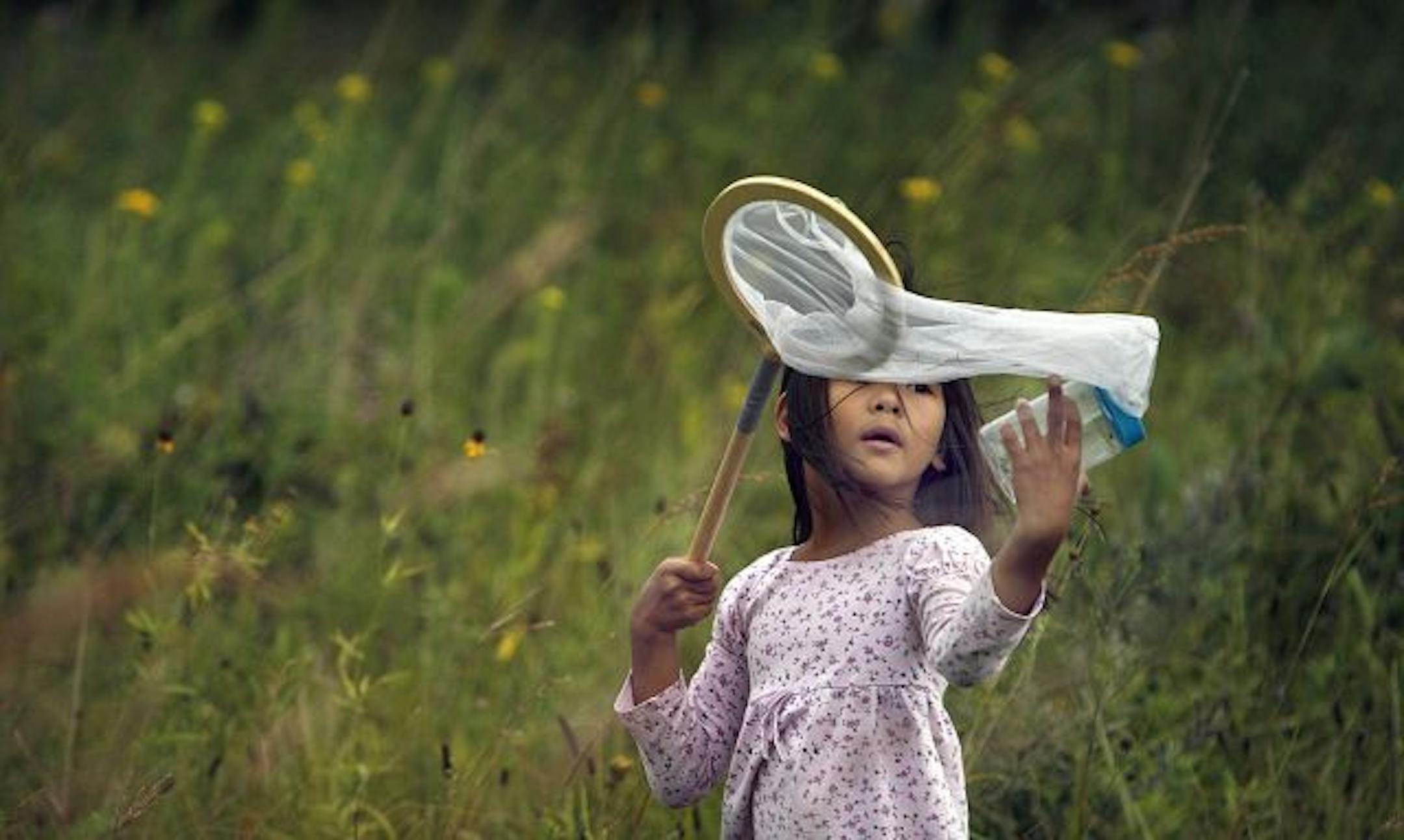 Destiny Buth, a 6-year-old from St. Paul, looked for butterflies and bugs in the prairie at the Richardson Nature Center. Destiny, other members of her family and about 20 other parents and their children attended a program at the center to tag monarch butterflies to track their migration to Mexico.