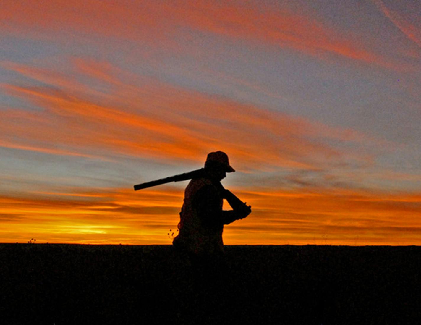 South Dakota pheasant hunts are known for their spectacular sunsets and vast prairies. But bird numbers in the nation's No. 1 pheasant state have been down sin recent years. ORG XMIT: MIN1610071329560049