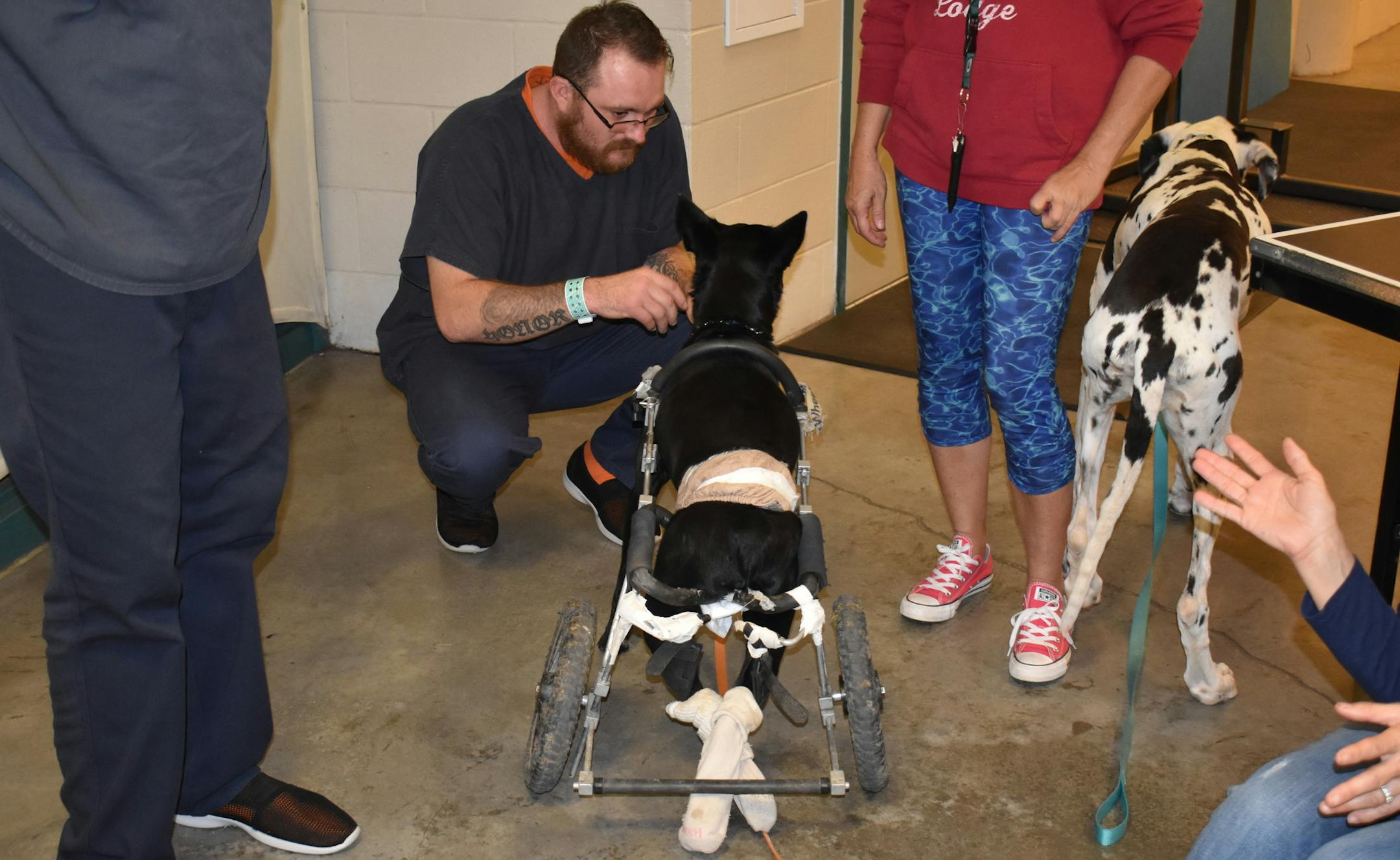 The Washington County Sheriff's Office is using dogs from a local sanctuary as therapy dogs at the jail.