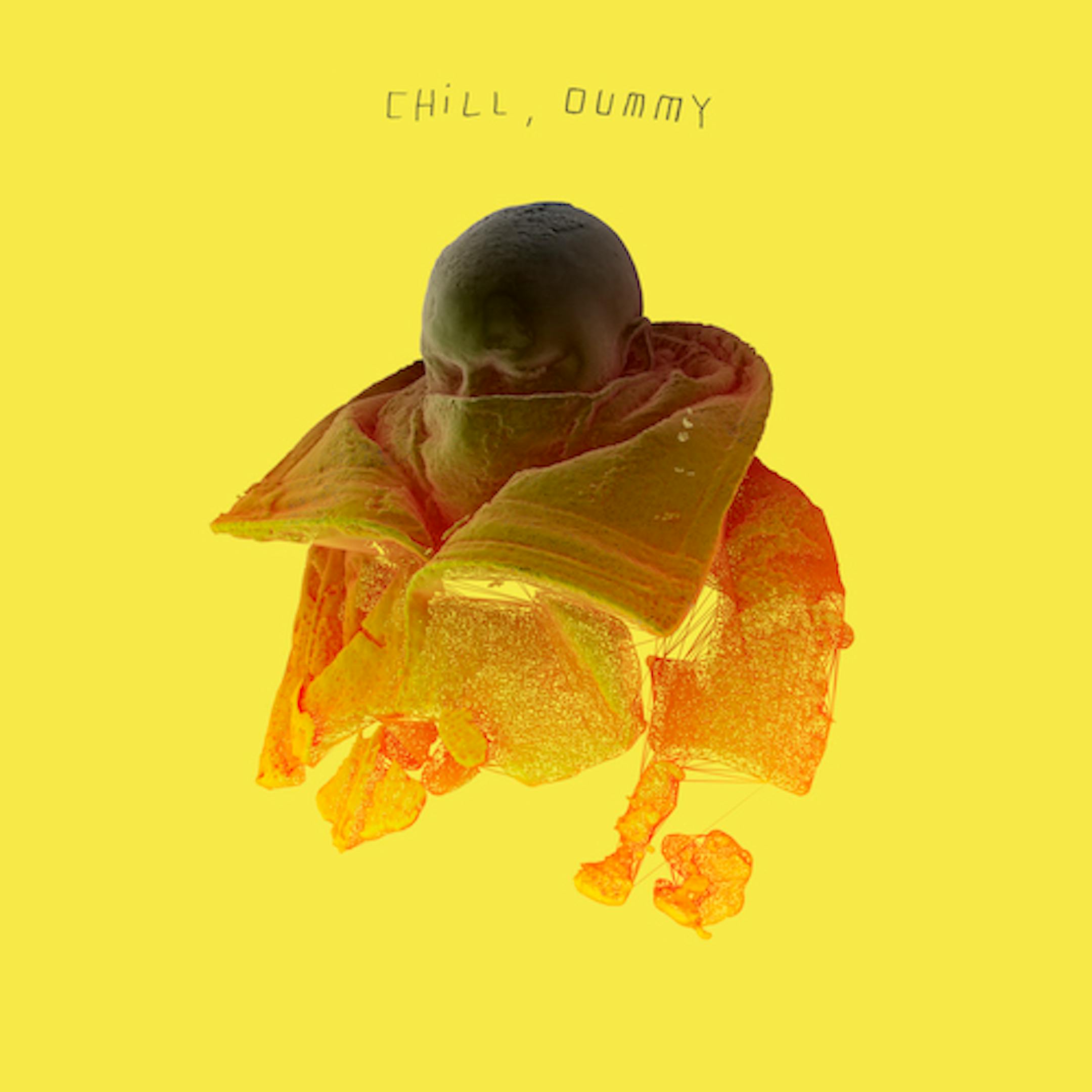 LP cover for "Chill, dummy."