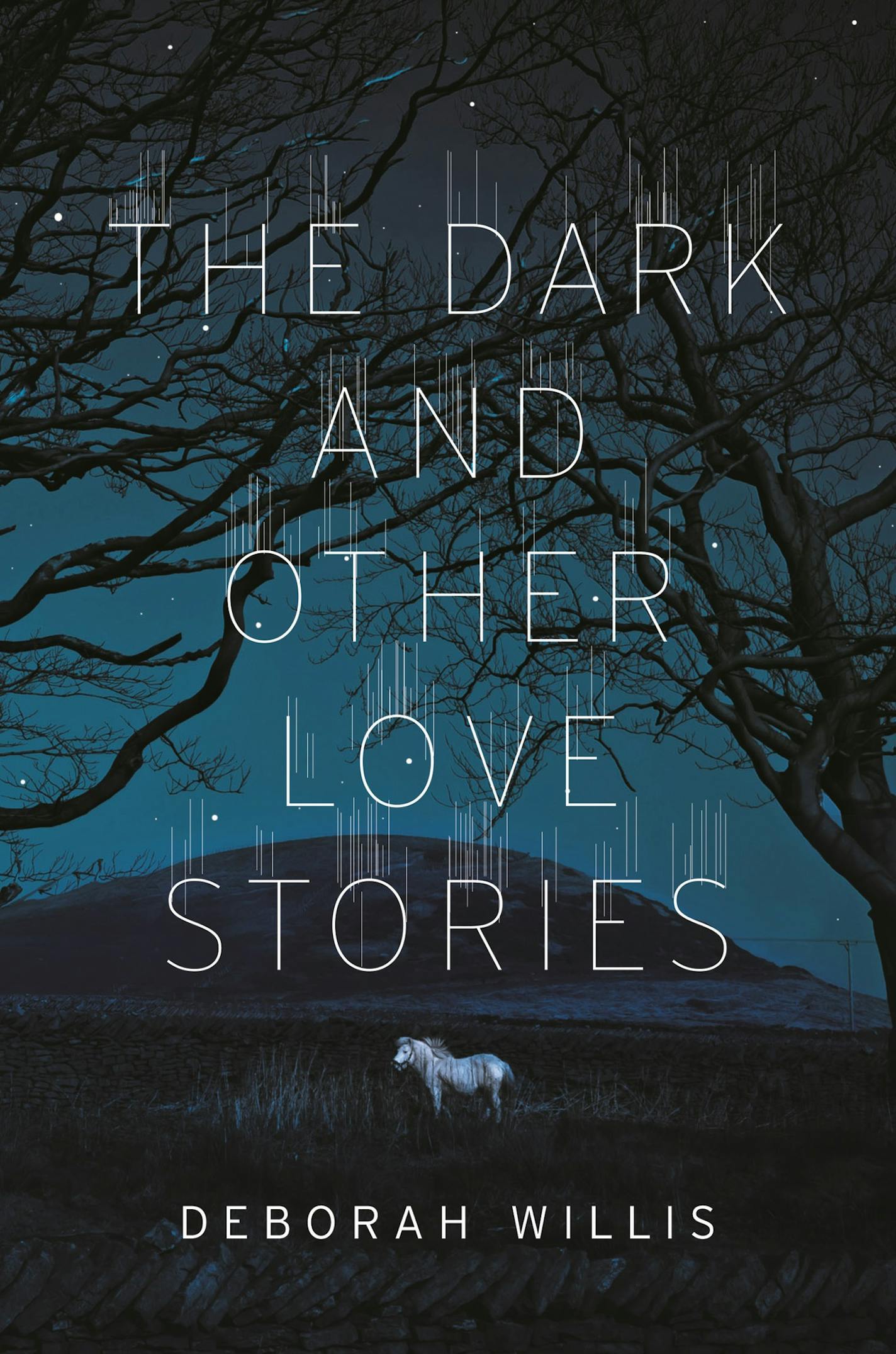 "The Dark and Other Love Stories," by Deborah Willis