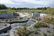 Once buried beneath the former Ford site, a reconstructed Hidden Falls Creek is a centerpiece of the new Highland Bridge development. The water featur