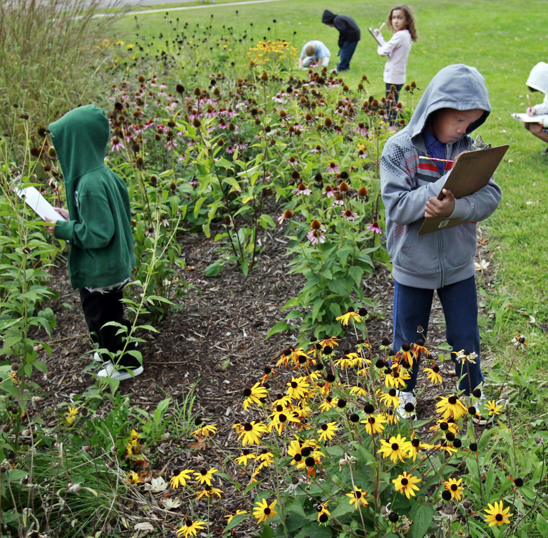 DAVID JOLES ¬• djoles@startribune.com - West St. Paul, MN -Sept. 7, 2010 - It was the first day of school for many kids in the metro area, including at Garlough Environmental Magnet School. In this photo:] Second graders work on their observation skills in the school's rain garden. In this photo:] ORG XMIT: MIN2013091609084808