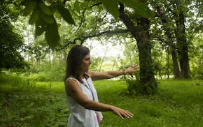 Principal Jocelyn Sims shows what will be an outdoor classroom for the School Forest Program. ] NICOLE NERI &#x2022; nicole.neri@startribune.com BACKG