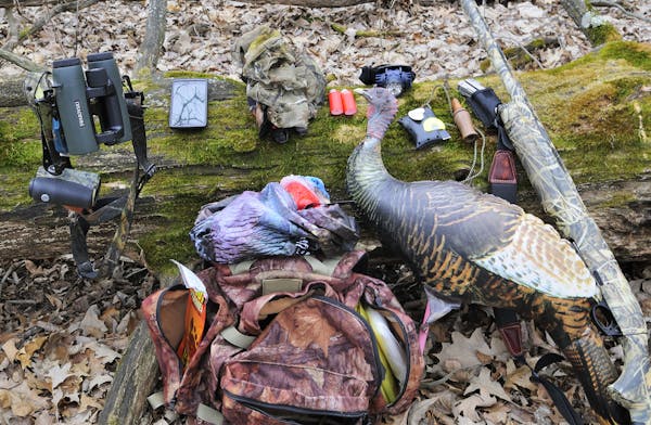 01225-116.05 Wild Turkey hunting gear is displayed on log. Gun, calls, binoculars, headlamp, facemask, cell phone, decoys, backpack.