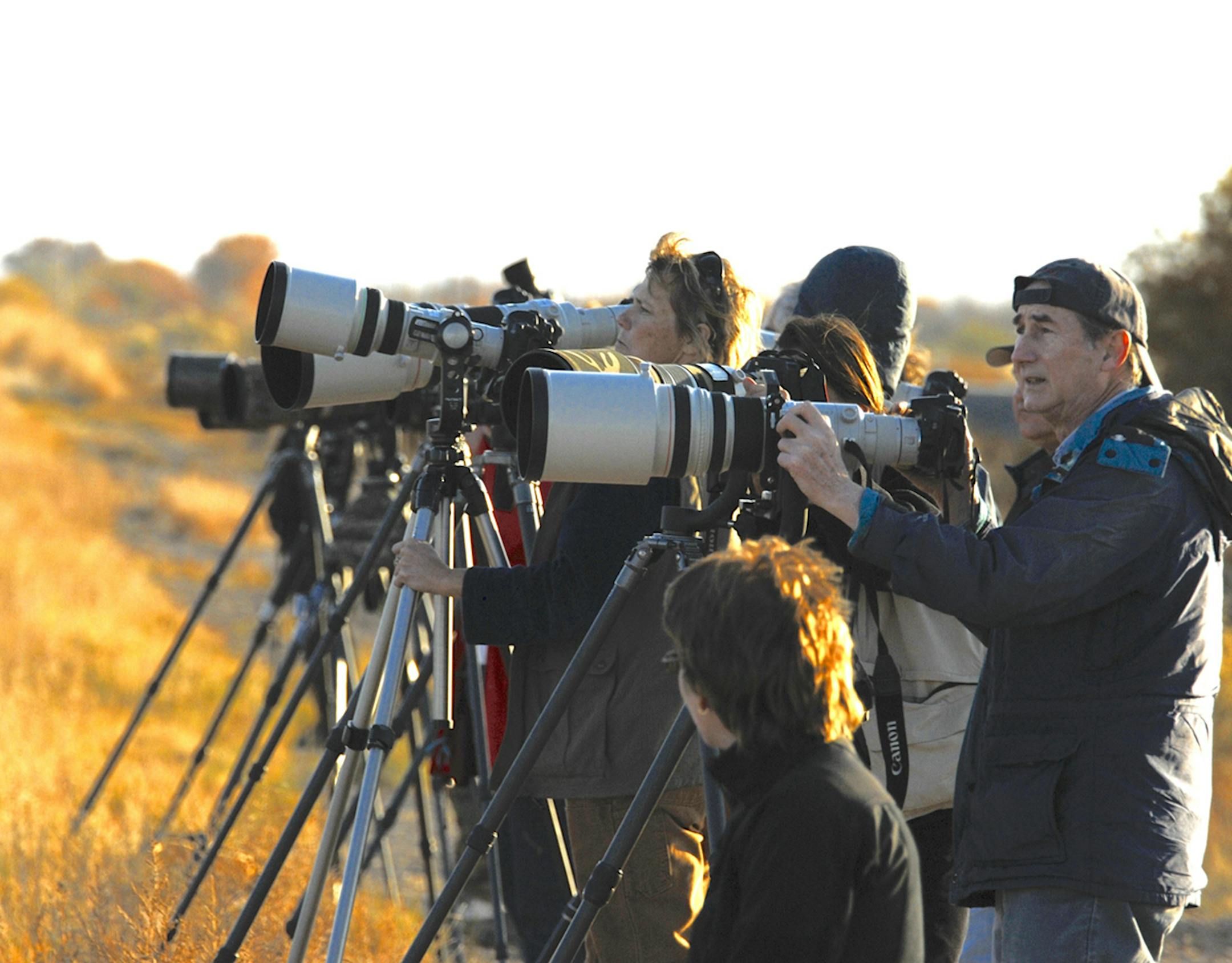 At a birding hot-spot: Some of these people are birders with cameras. Others are people with cameras. credit: Jim Williams