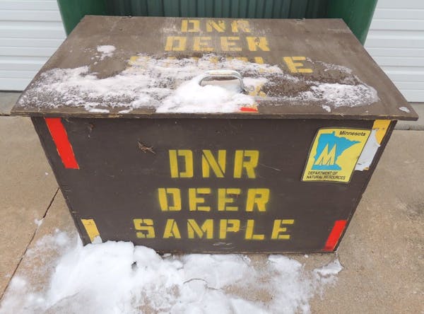 Deer head drop boxes like this one in southeastern Minnesota have become a fixture during recent deer hunts in southeastern Minnesota.