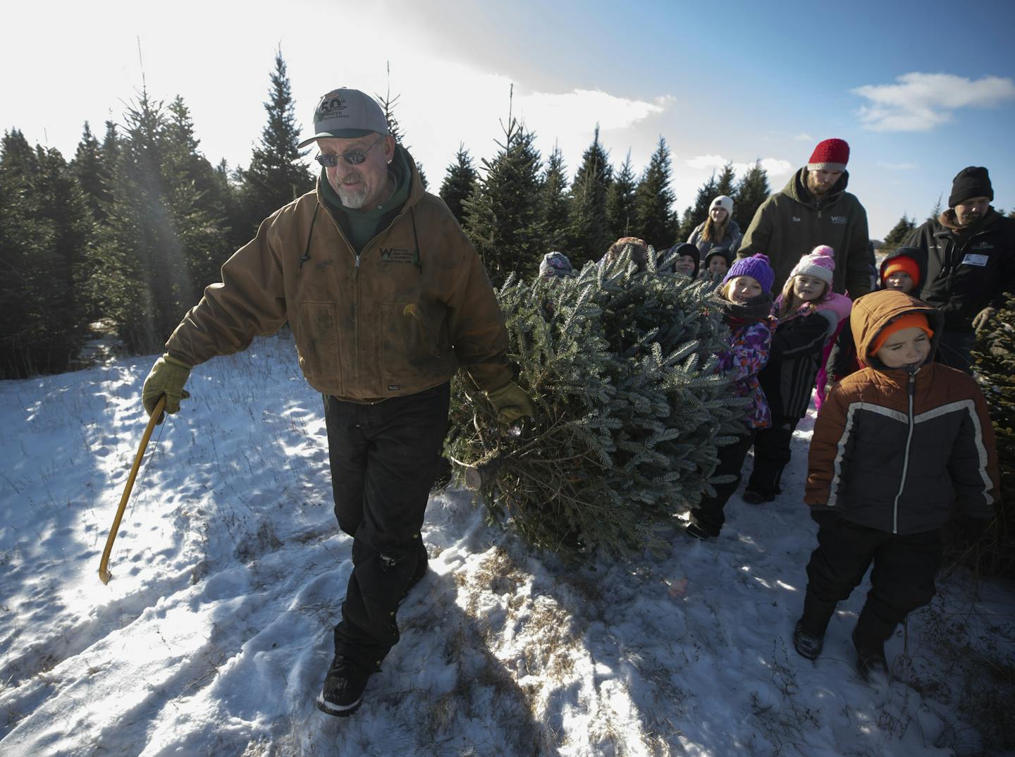 Dean Pass and students from Cambridge Primary school carried a 7-foot Fraser after cutting it at Wolcyn Tree Farm Thursday December 6, 2018 in Cambridge, Minn.