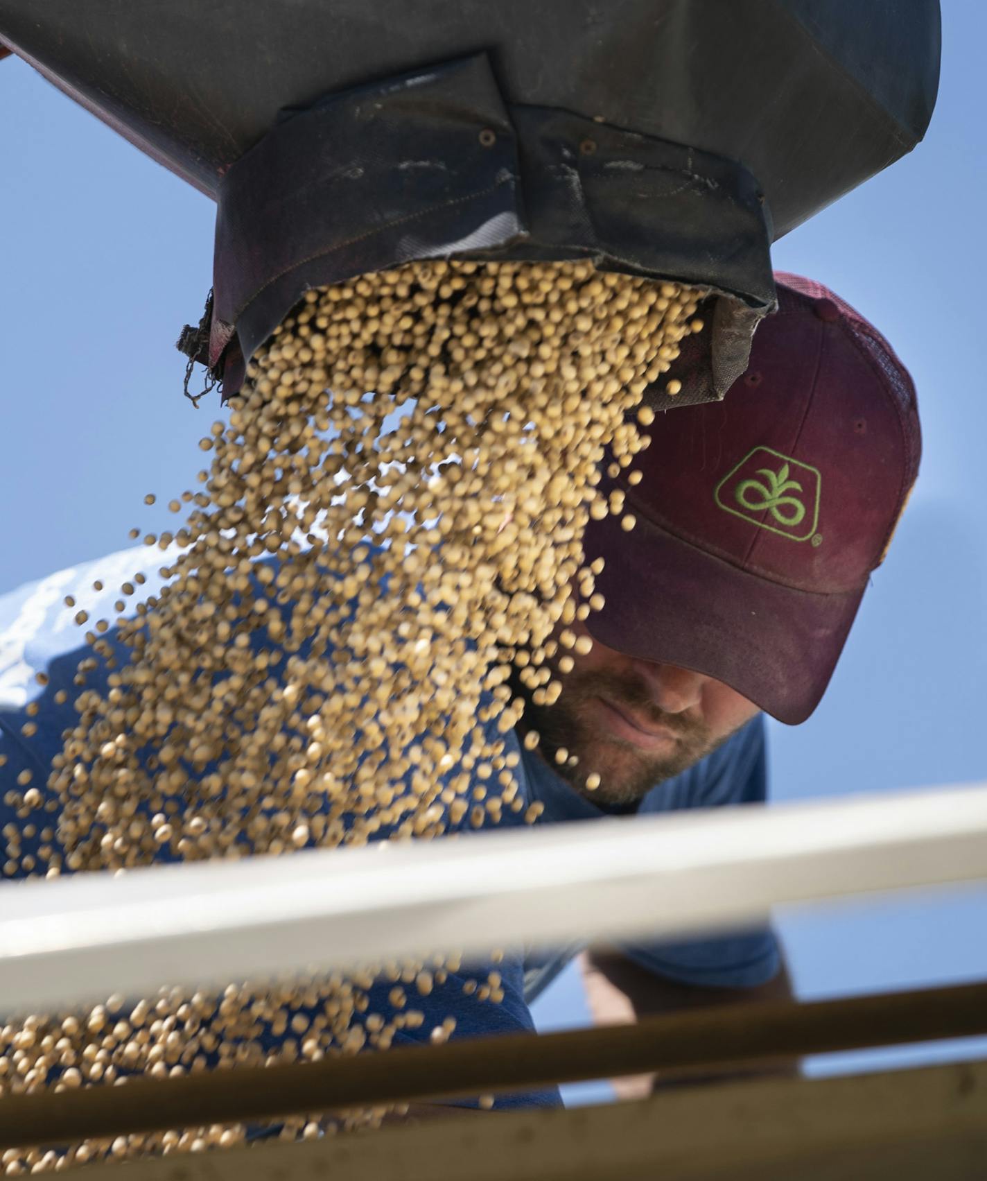 Brent Fuchs filled soybean seed into the trailer of Connie Cihak who was eager to plant her fields having had to wait so long because of wet conditions. Fuchs is Cihak's seed dealer and has had to change her seed order four times to account for the late season. They are in Dundas, Minn., on Monday, June 10, 2019. Cihak says they won't be able to plant 600 acres of their 1700 acre farm. ] RENEE JONES SCHNEIDER &#xa5; renee.jones@startribune.com