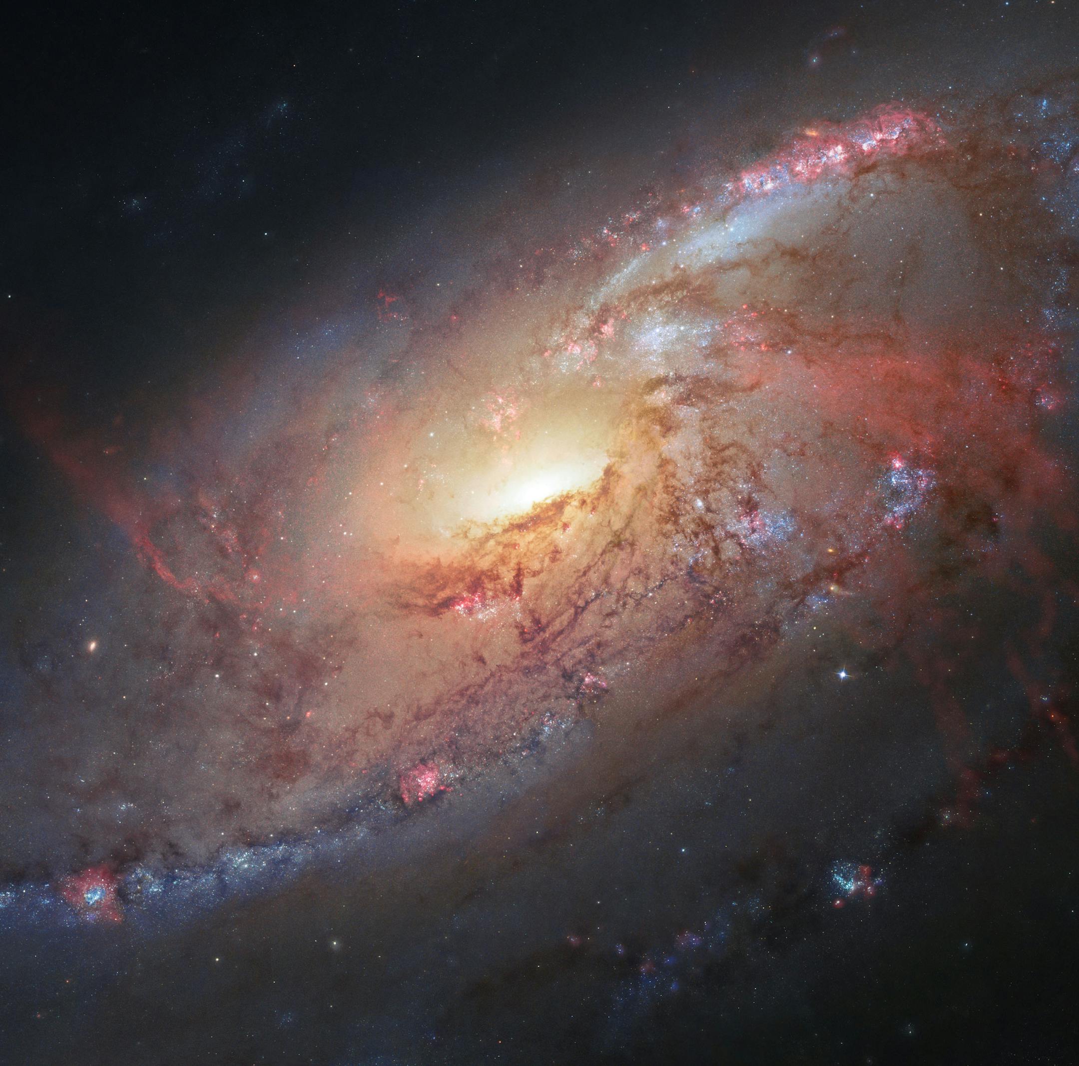 This image made by the NASA/ESA Hubble Space Telescope shows M106 with additional information captured by amateur astronomers Robert Gendler and Jay GaBany. Gendler combined Hubble data with his own observations to produce this color image. It is a relatively nearby spiral galaxy, a little over 20 million light-years away. The Hubble Space Telescope marks its 25th anniversary. A full decade in the making, Hubble rocketed into orbit on April 24, 1990, aboard space shuttle Discovery. (NASA/ ESA/ H