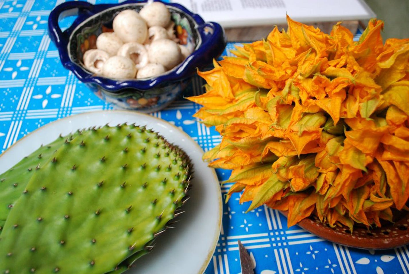 Cactus leaves and squash blossoms.