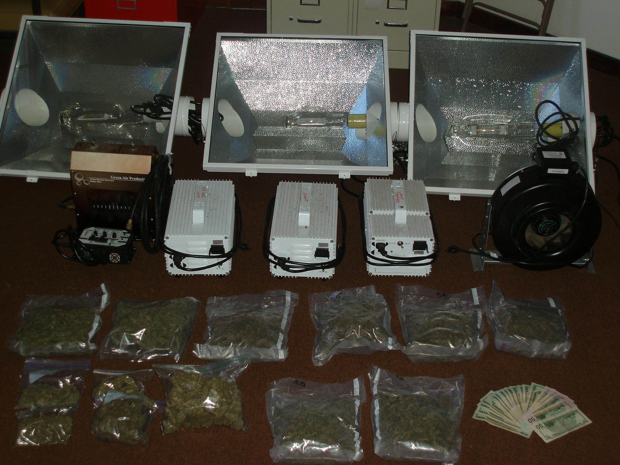 A raid near Duluth netted a substantial amount of marijuana and the tools for growing the drug.