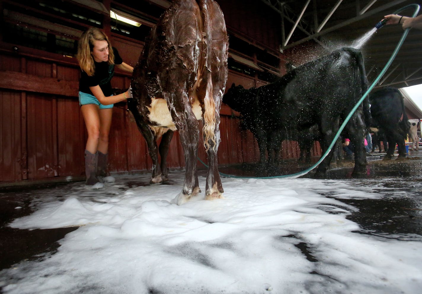 Joline Gitis, Minneapolis: &#x201c;You have to see the livestock.&#x201d