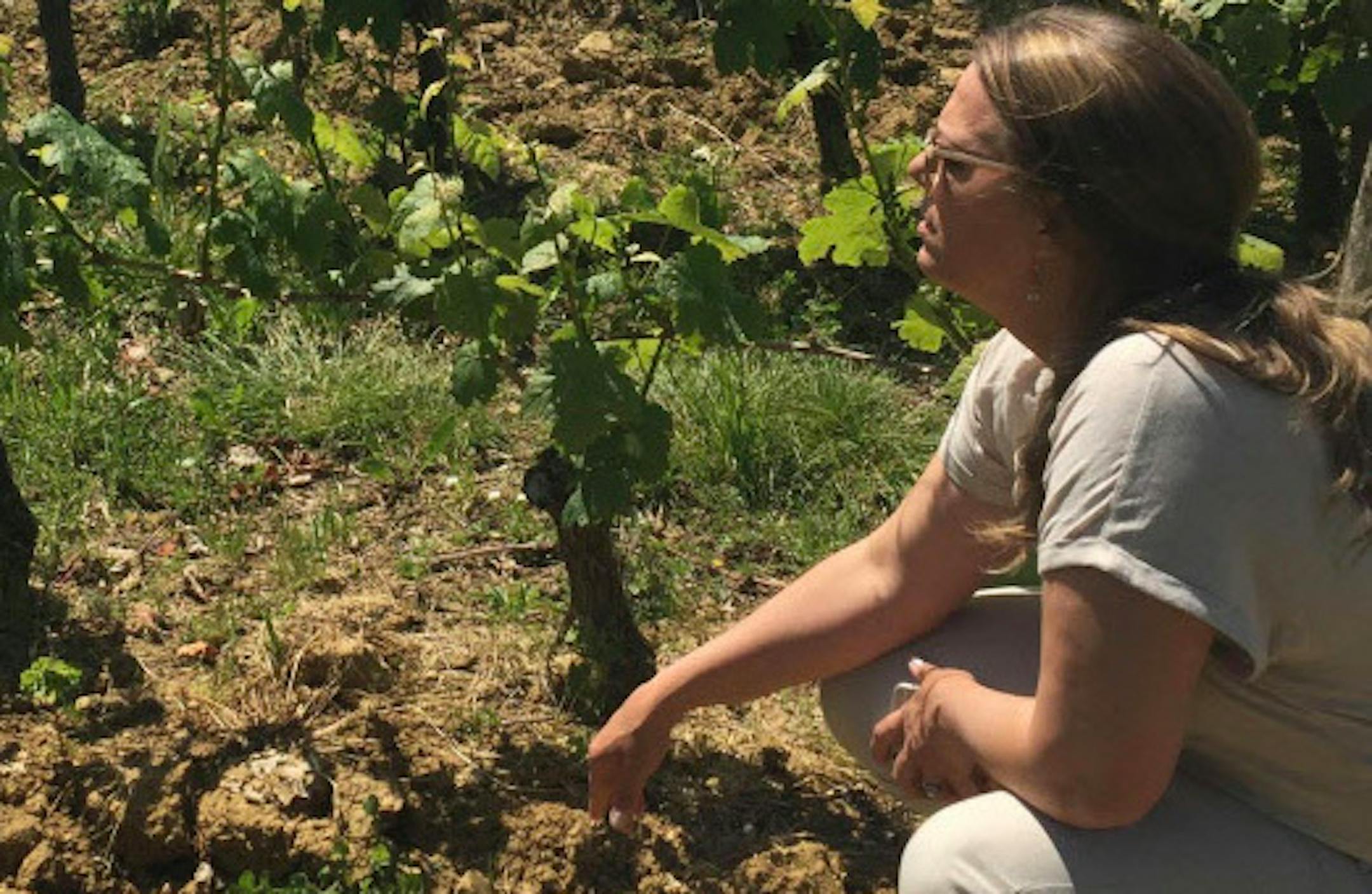 Desta Maree Klein of St. Paul's Meritage spent four months in Bordeaux. Here, she visited Château Bouscasse in Madiran.