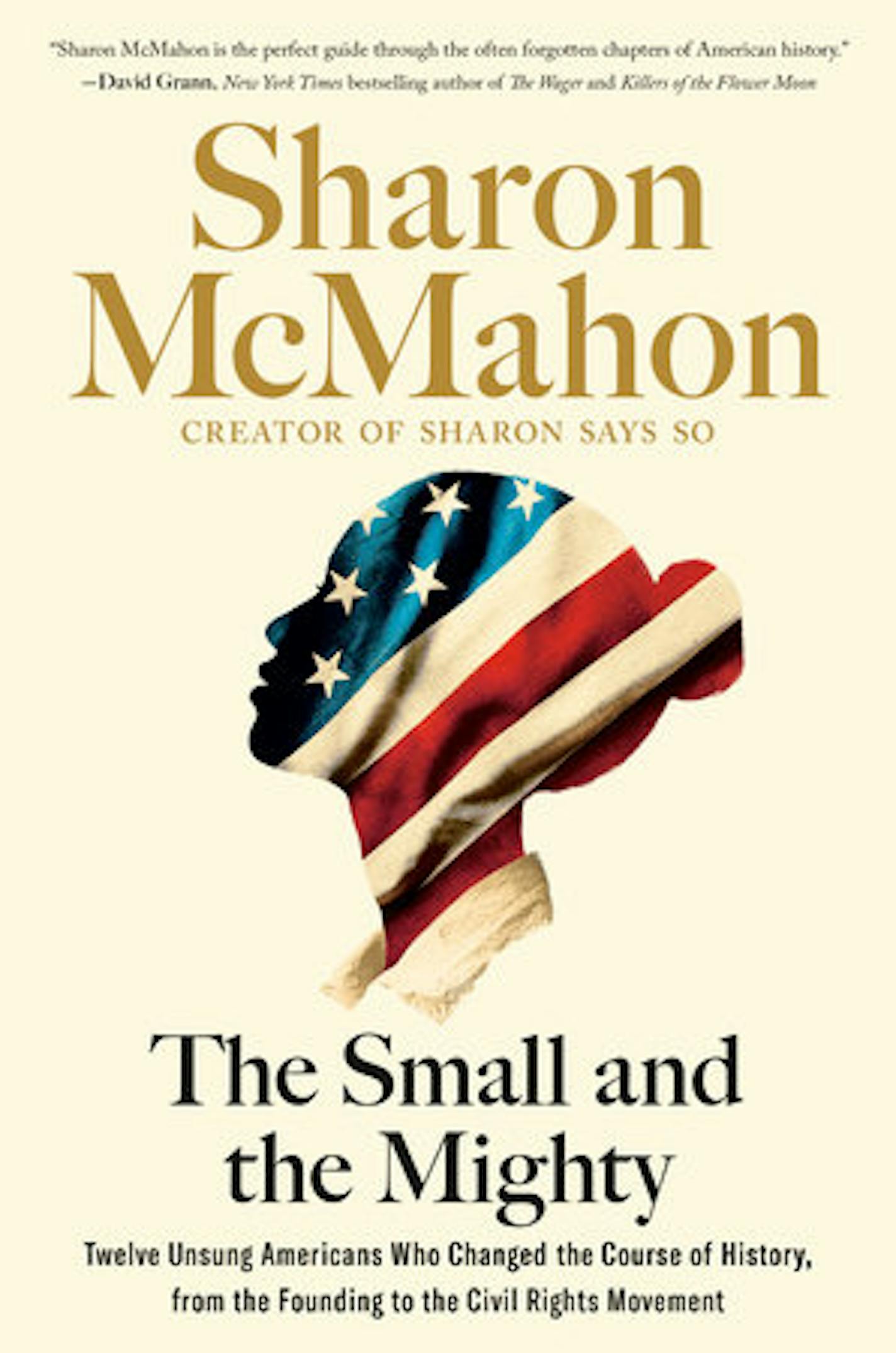 cover of The Small and the Mighty is a silhouette of a woman's head, draped in the American flag