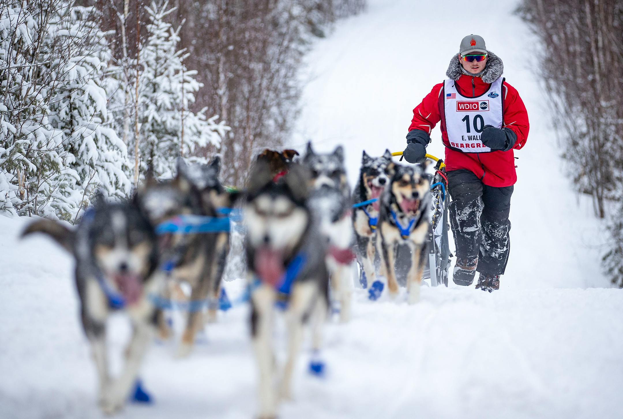 Ero Wallin and his sled dog team pushed through a layer of soft snow during the first leg of the race on Sunday morning. "It was like mashed potatoes out there," Wallin said.