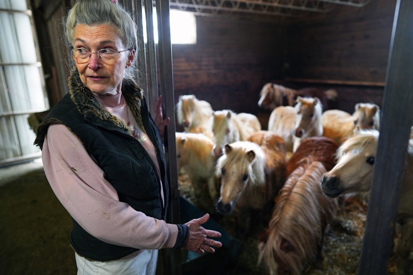 Shirley Kittleson, a veterinarian in Sherburn, Minn., says she's owed nearly $1.5 million for the care and feeding of a miniature pony herd that was seized from a pony farm two years ago. ORG XMIT: MIN2006291106004233