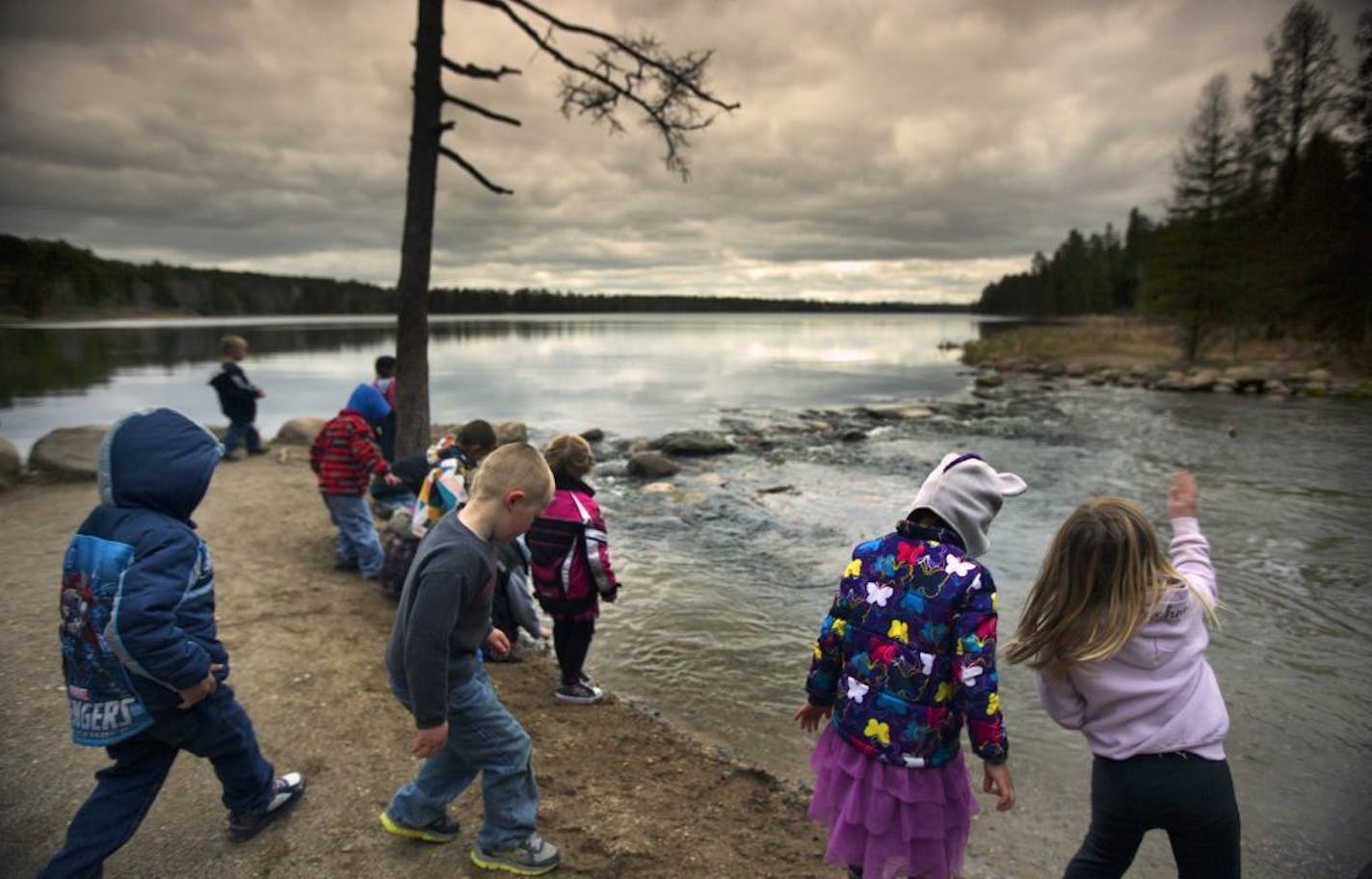 As water flows out of Lake Itasca in NW Minnesota, the Mississippi River begins a 2,552 mile journey to the Gulf of Mexico. The headwaters are one of Minnesota's most popular tourist attractions, Here, elementary school children enjoy a field trip to the National landmark. The headwaters of the Mississippi were preserved by creating Minnesota's first state park, Itasca, in 1891.