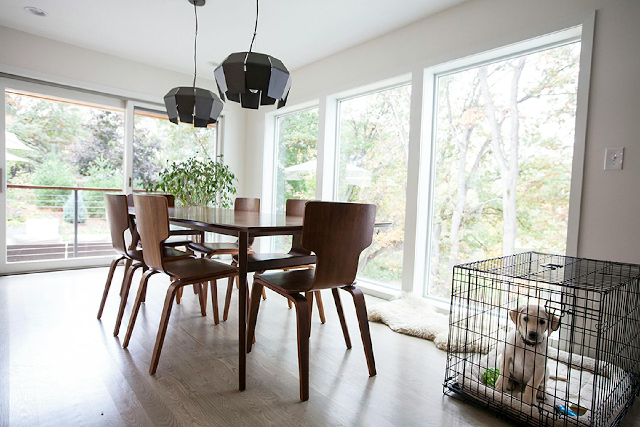 Shelter Architecture added more floor-to-ceiling windows on the rear of the home for panoramic views of the property.