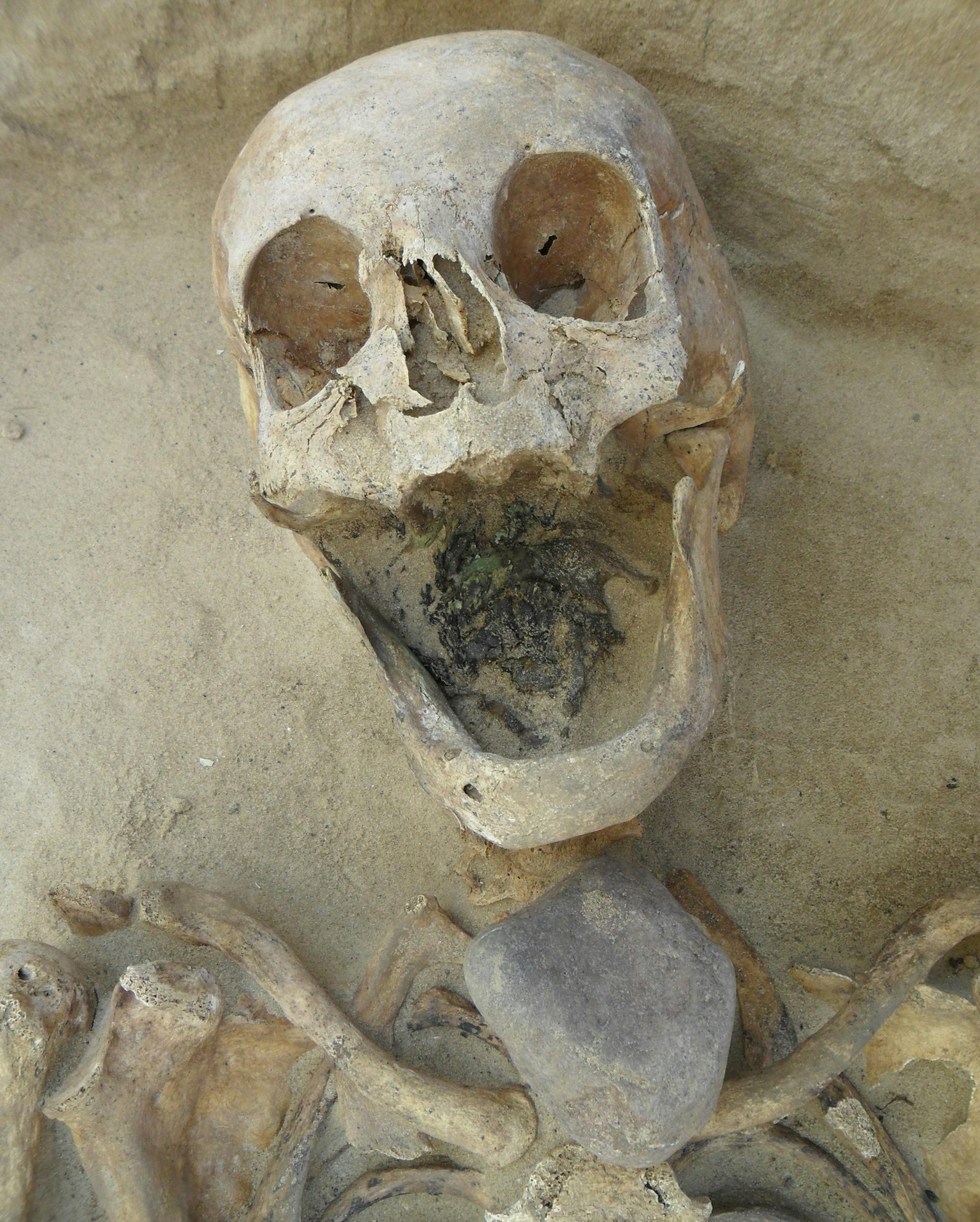 In an undated handout photo, the skeleton of a female, who was buried with a stone placed on her throat, a practice in 17th- and 18th-century Poland to keep the dead from rising from the grave. Written records suggested that the dead were stigmatized because they were immigrants, but a new study contradicts the idea. (Amy Scott via The New York Times) -- NO SALES; FOR EDITORIAL USE ONLY WITH STORY SLUGGED SCI WATCH. ALL OTHER USE PROHIBITED. ORG XMIT: XNYT14