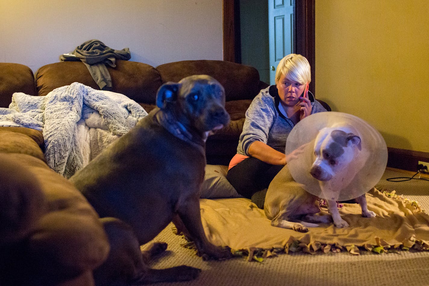 Jennifer LeMay sits at home for the first time with her dogs, Ciroc, (right) and Rocco since they got back from the vet.