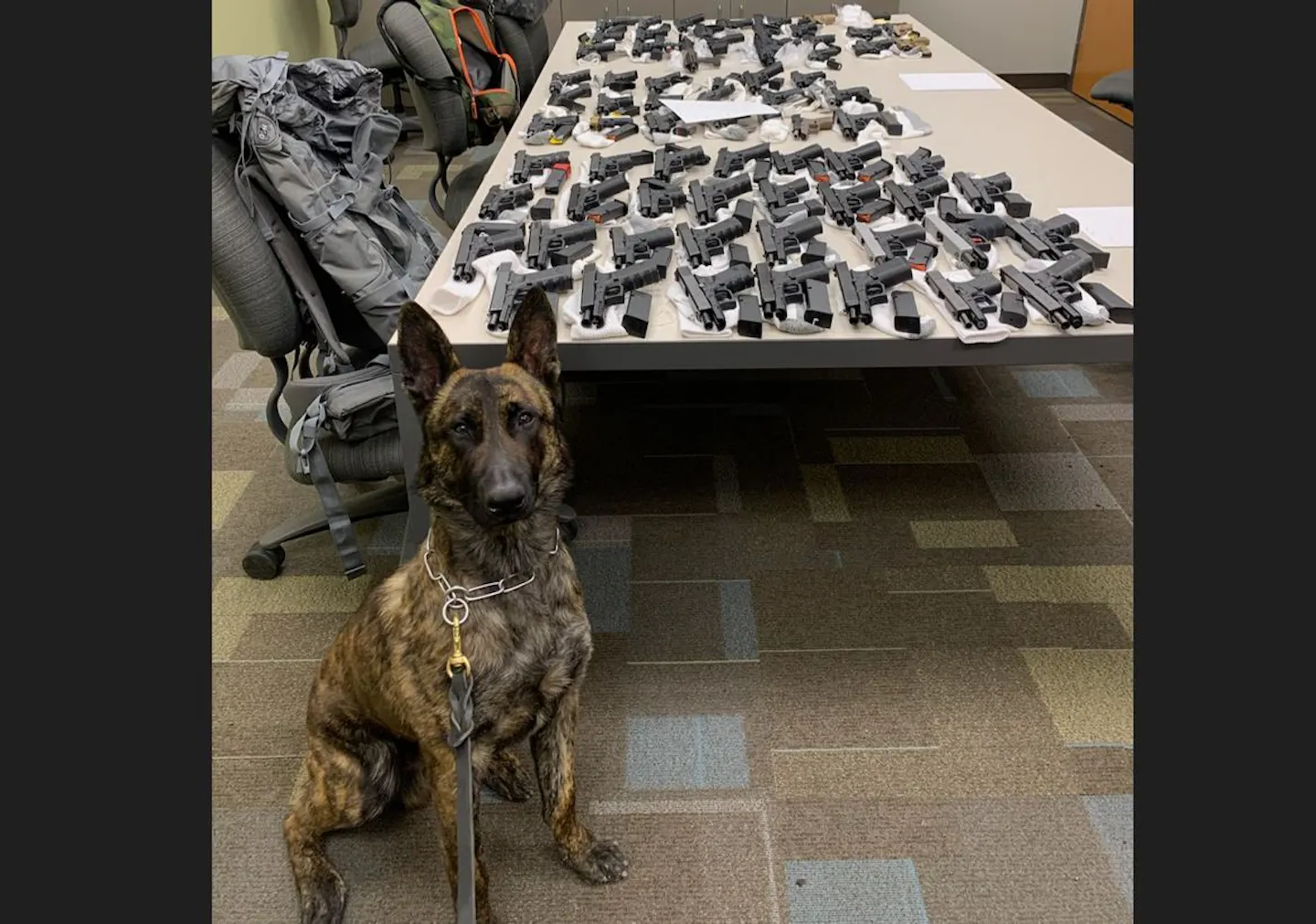 Duo slips into U.S. from Canada with dozens of guns, abandons weapons and evades capture - Vimarsana News