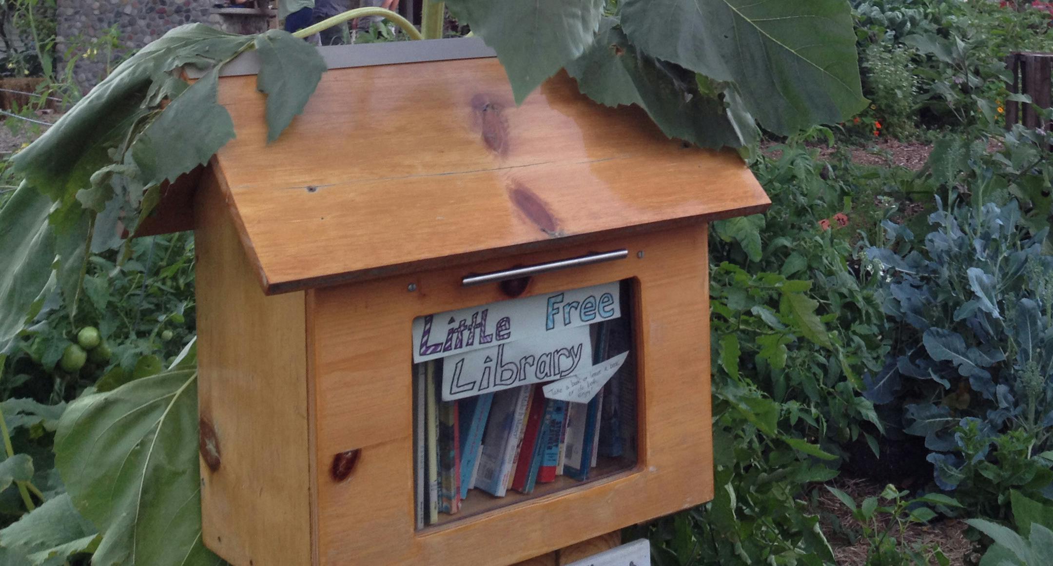 Kim Palmer/Star Tribune ORG XMIT: MIN1309171701054432