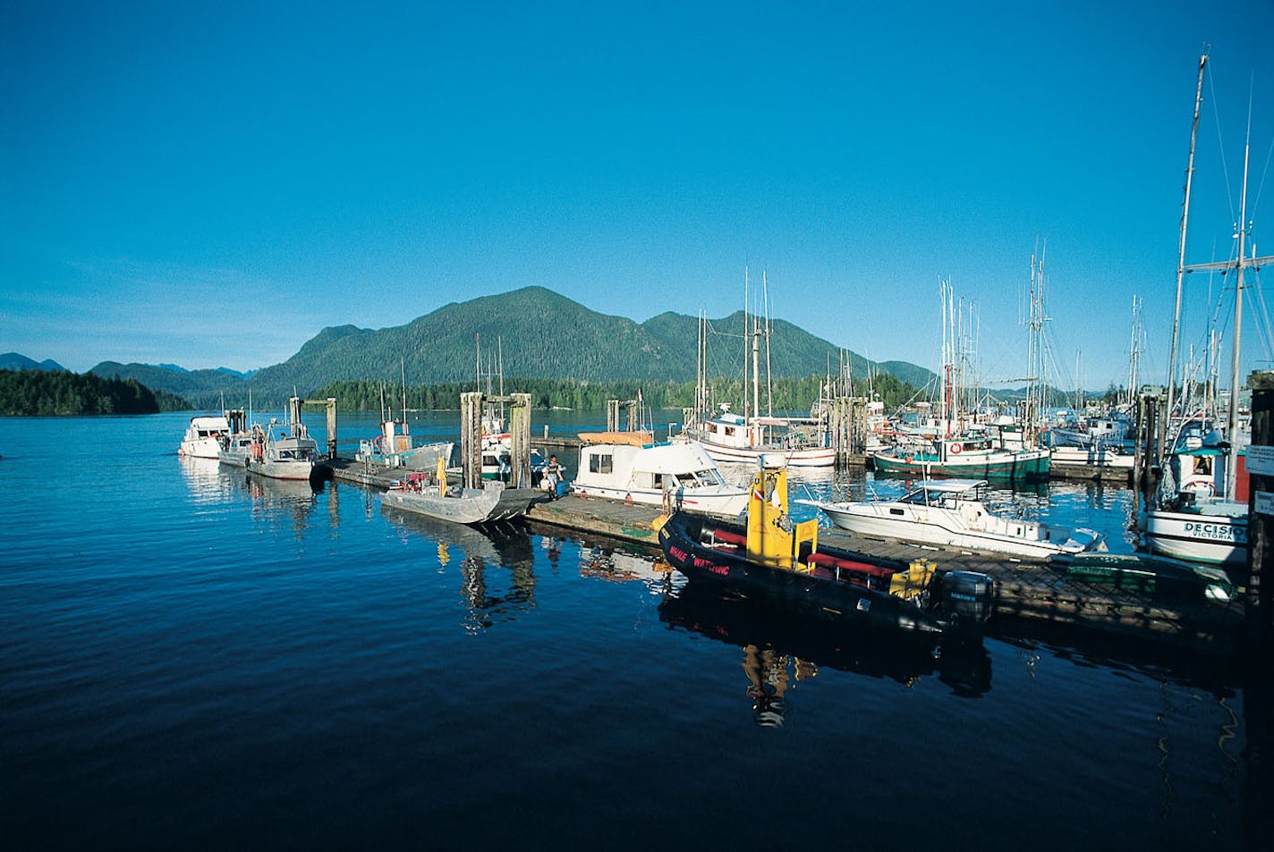 Boats in the marina in Tofino on Vancouver Island.