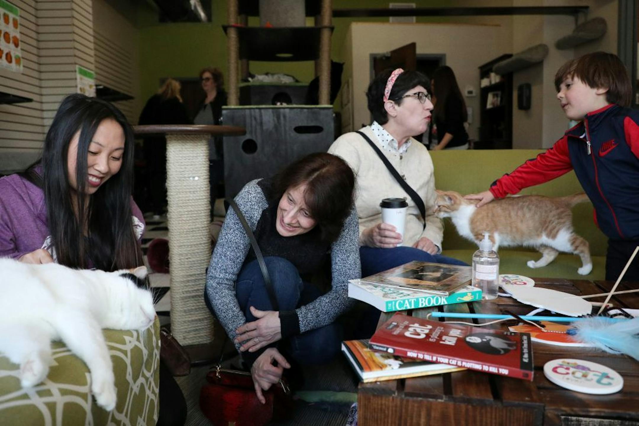 Tasha Lauj, left, of St. Paul and Diane Aronson, center, of St. Louis Park pet Tinkerbell as Mona Pougiales and Patrick Soto, 5, both of Minneapolis pet Nani Friday afternoon at The Cafe Meow.