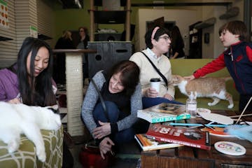 Tasha Lauj, left, of St. Paul and Diane Aronson, center, of St. Louis Park pet Tinkerbell as Mona Pougiales and Patrick Soto, 5, both of Minneapolis p