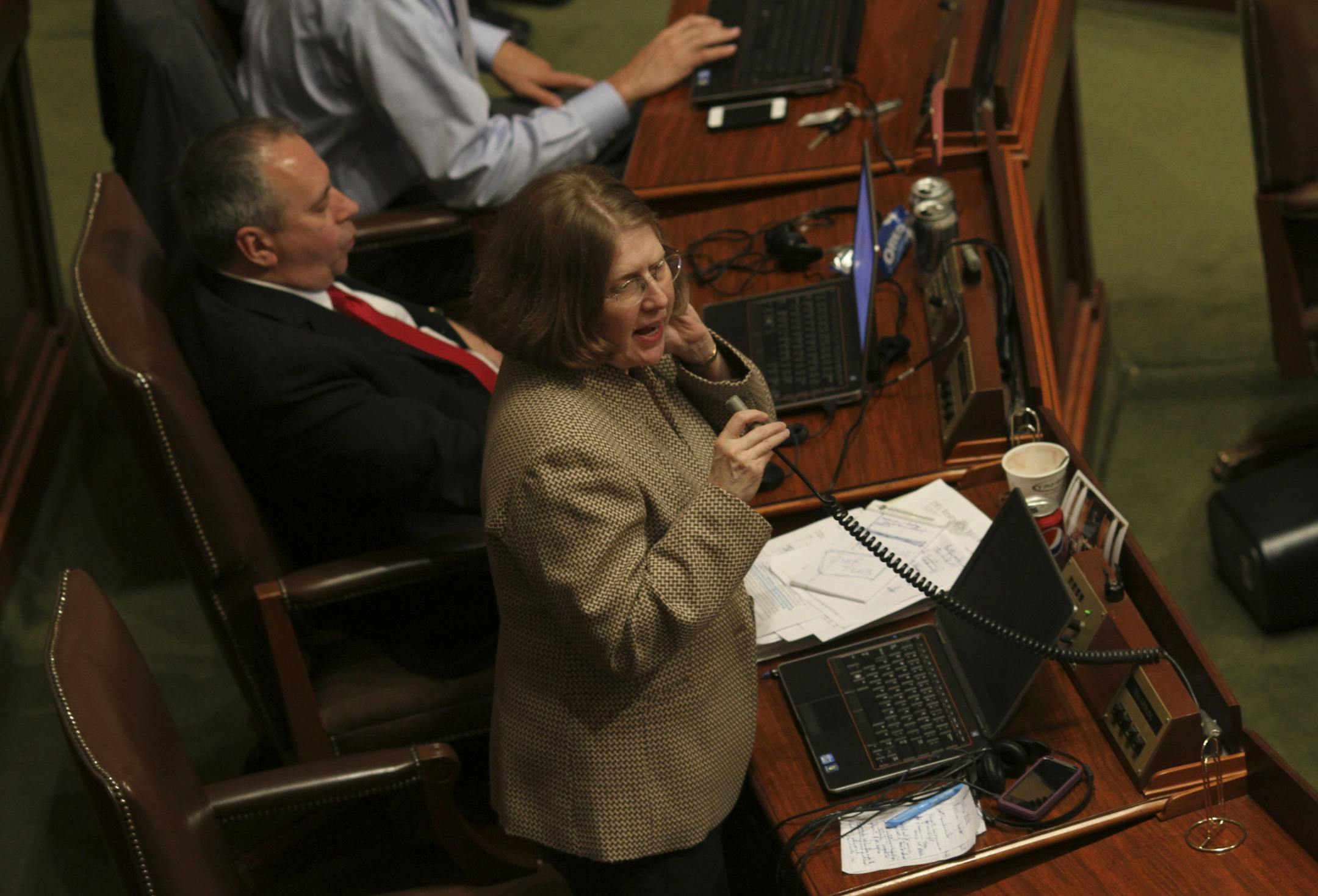 Rep. Tina Liebling (DFL).