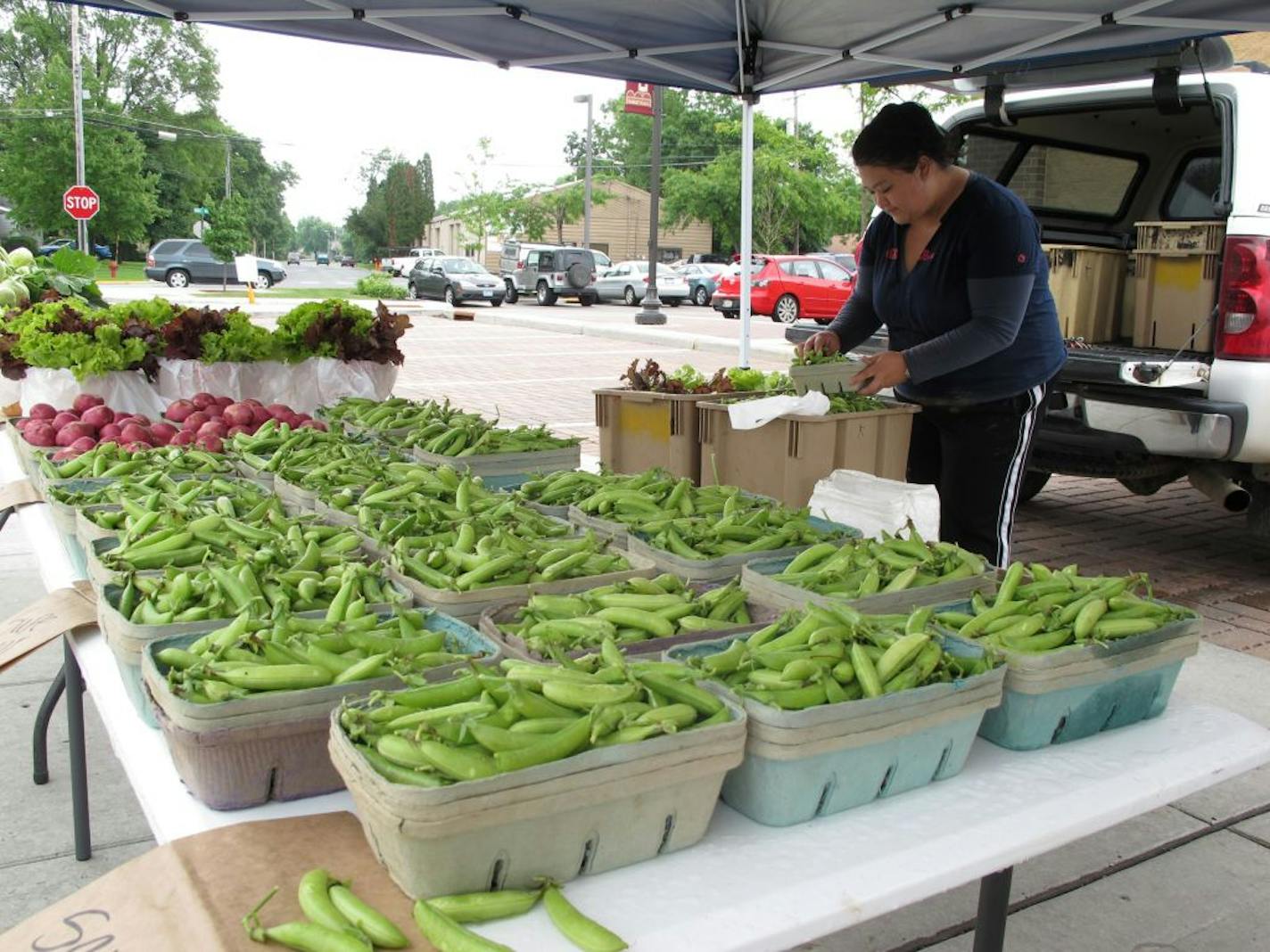 Bao Lee Xiong of Rosemount was selling peas, potatoes, kohlrabi and lettuce during the Lakeville Farmers Market on Wednesday. It rained during the first hour of the market and the crowd was thin, but business was starting to pick up.