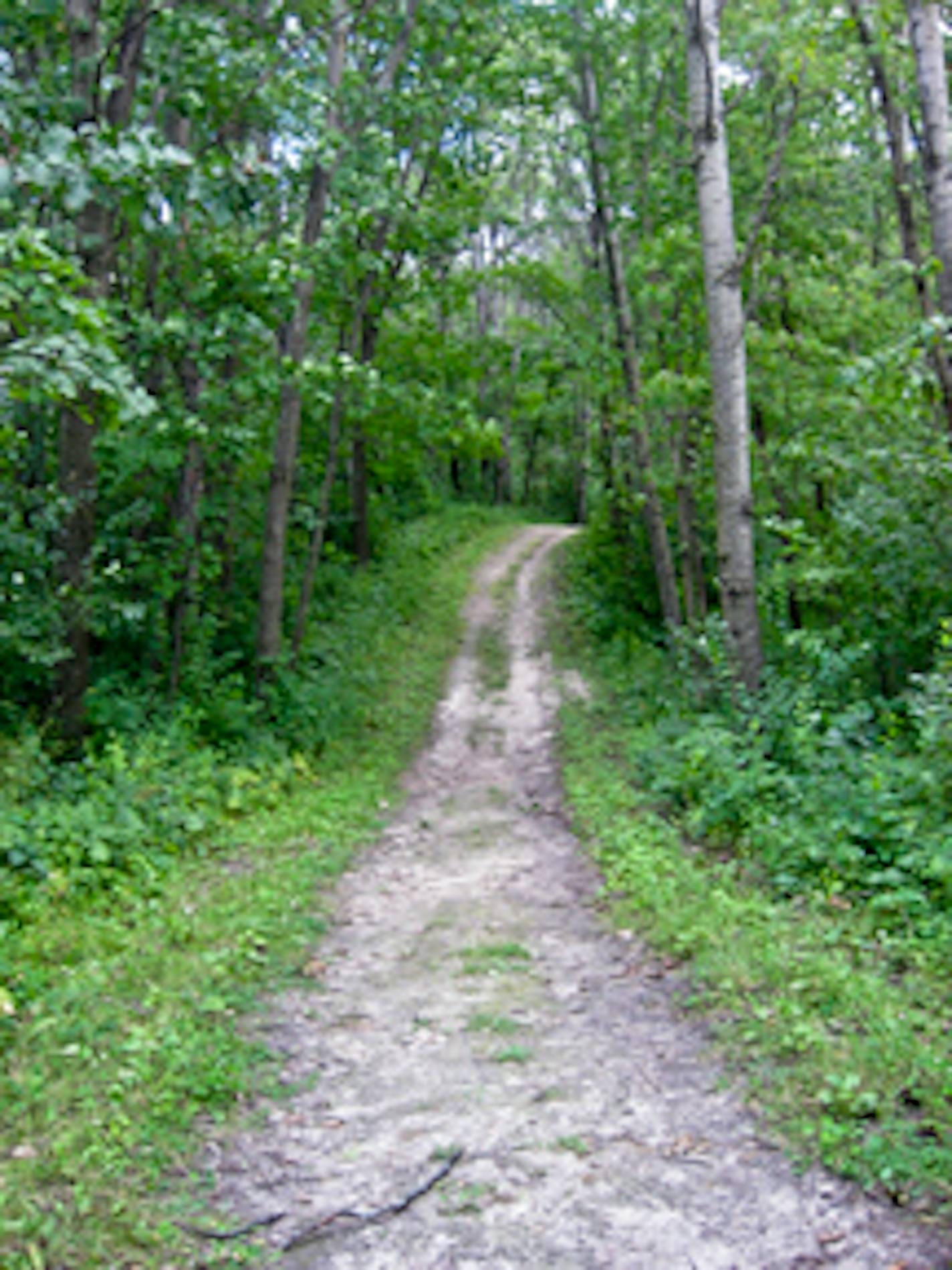 Murphy-Hanrehan Park has plenty of awesome hiking paths and welcomes bikers!